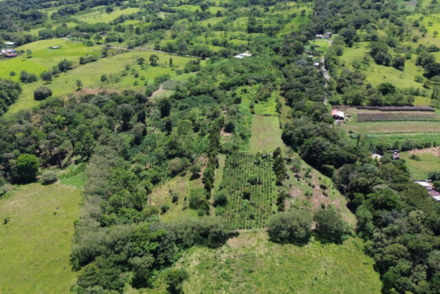 FINCA EN VENTA 4,5 hect. Vistas. Cafe. Rio. Frente a Calle