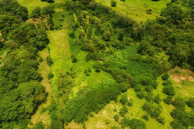 FINCA EN VENTA 4,5 hect. Vistas. Cafe. Rio. Frente a Calle.